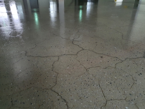 와이폴리싱 PC 이미지 1566355