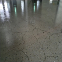 와이폴리싱 PC 갤러리 6