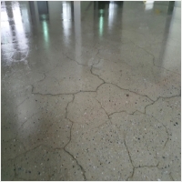 와이폴리싱 PC 갤러리 15