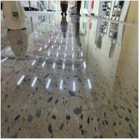 와이폴리싱 PC 갤러리 0